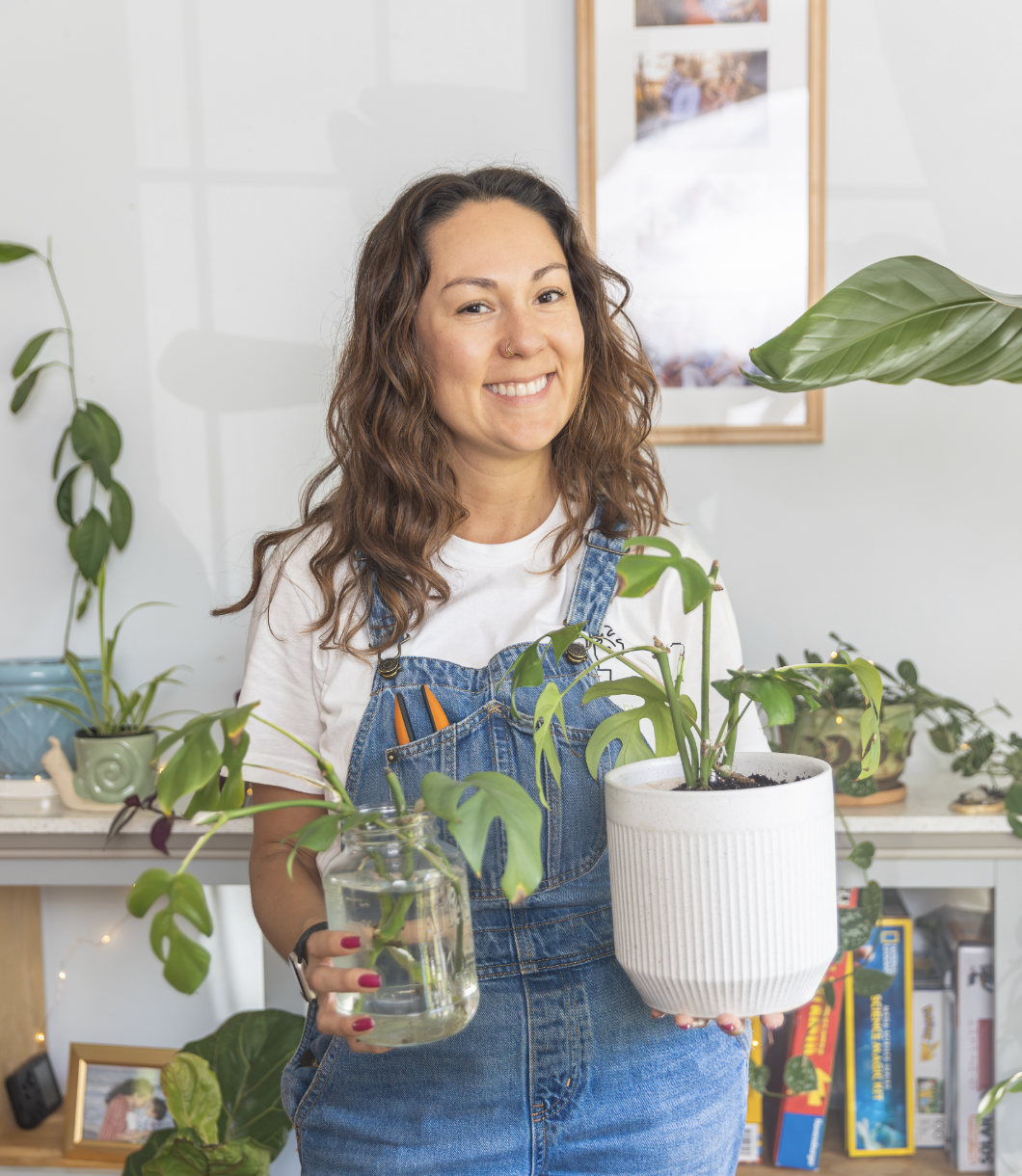 Houseplant Care for Beginners